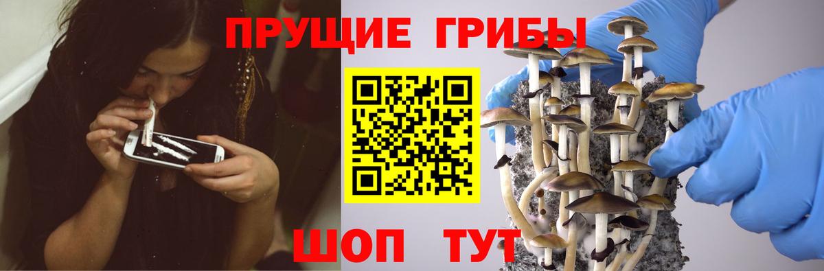 ГАШ Нурлат